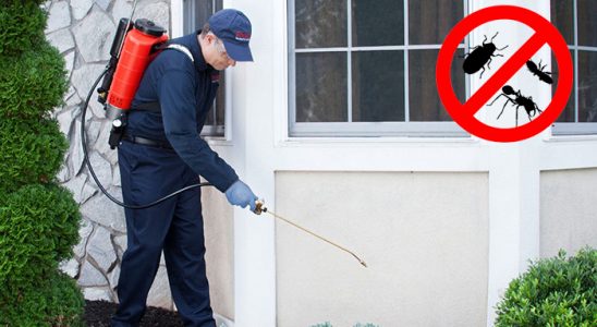 Alaca Gümüşkurt İlaçlama böcek ilaçlama ve haşere kontrolü — ilaclama-tr.com